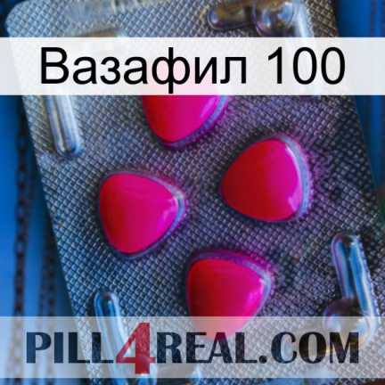 Вазафил 100 13